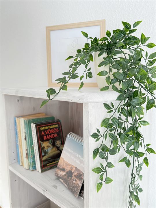 Weißes Regal mit Büchern und hängender Grünpflanze