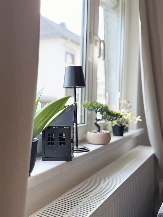 Fensterbank mit Pflanzen und Lampe