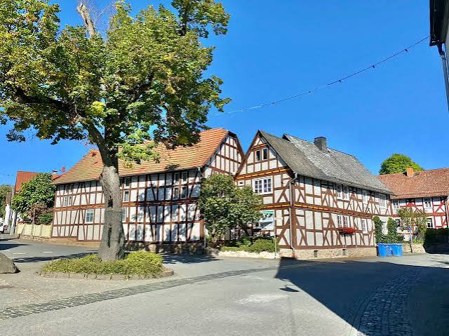 Fachwerkhäuser an einer Straße im Ortskern, davor ein Baum