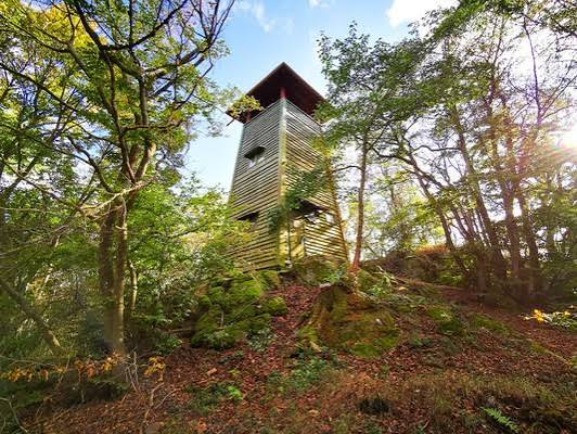 Hölzerner Aussichtsturm zwischen Bäumen im Herbstlicht